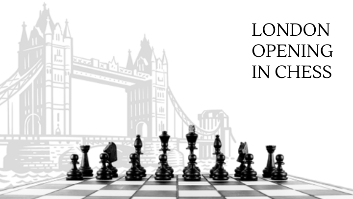 Everything You Need to Know About London Opening Chess
